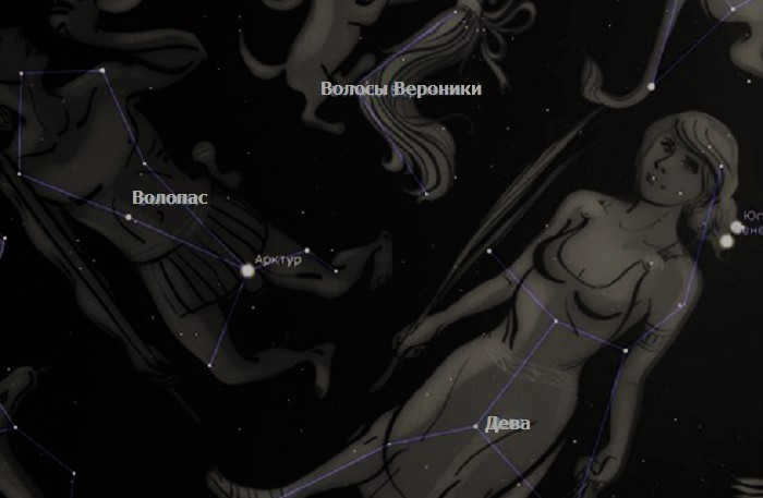 The constellations Capricorn, Virgo and Veronica's Hair.