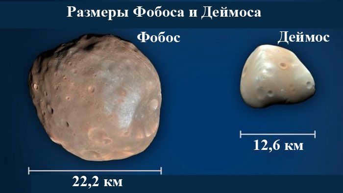 Comparison