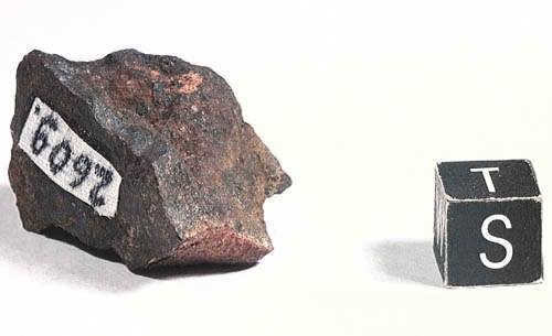 Northern Kolchim meteorite