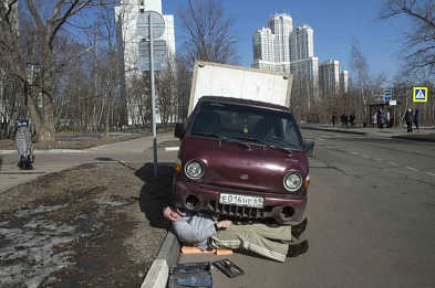 Why are Muscovites so angry? Why are there no sparrows in Moscow?