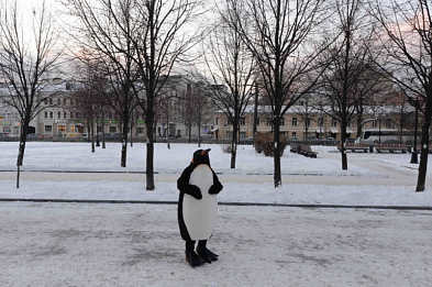 Why are Muscovites so angry? Why are there no more sparrows in Moscow?