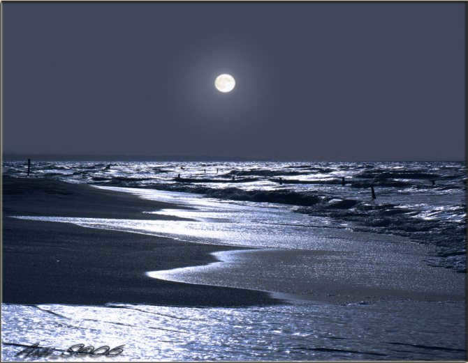 4938 - Full Moon: mysticism, rituals, facts, full moon calendar 2020