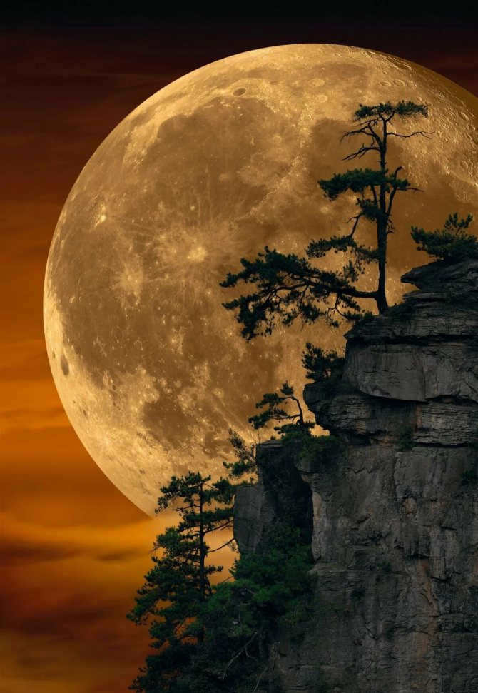 s1200?webp=false - Full moon: mysticism, rituals, facts, full moon calendar 2020