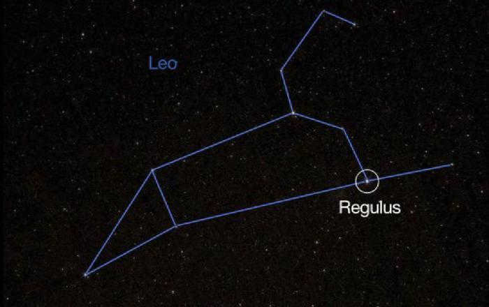 what is regulus