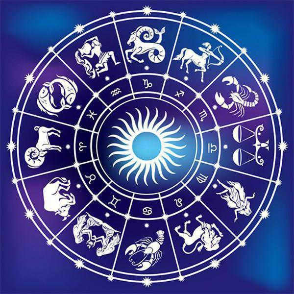 what is regulus