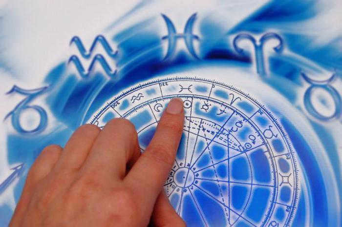 regulus description