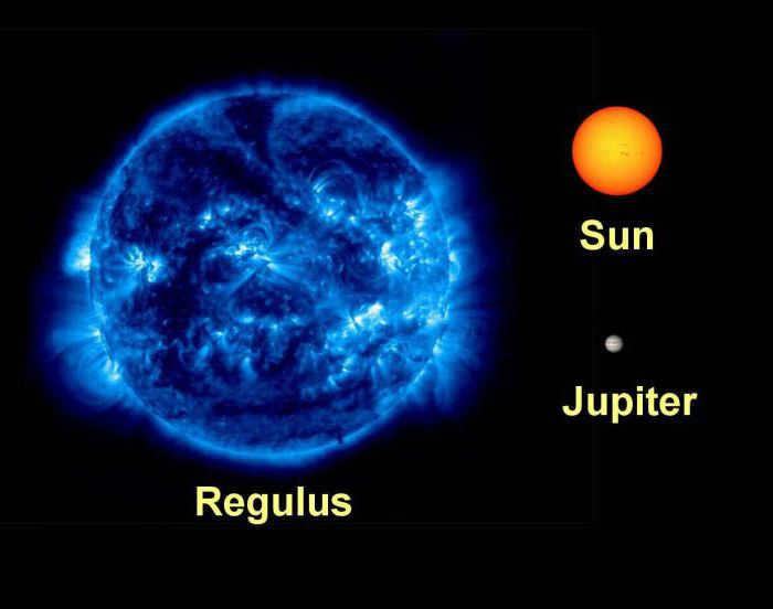 regulus star
