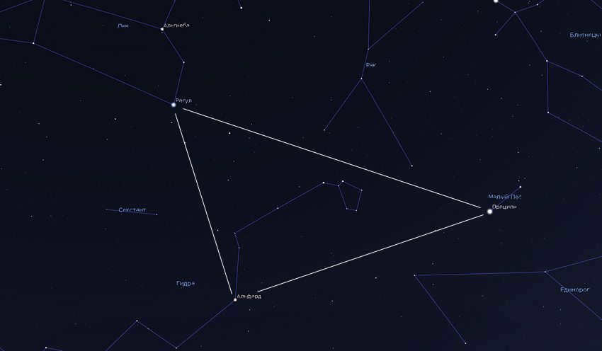 spring starry sky