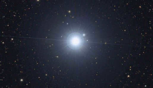 Regulus (photo)
