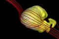 Image of the complex surface shape of the heliospheric bubble encompassing the solar system