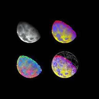  NASA images of the Moon from the NIMS probe.