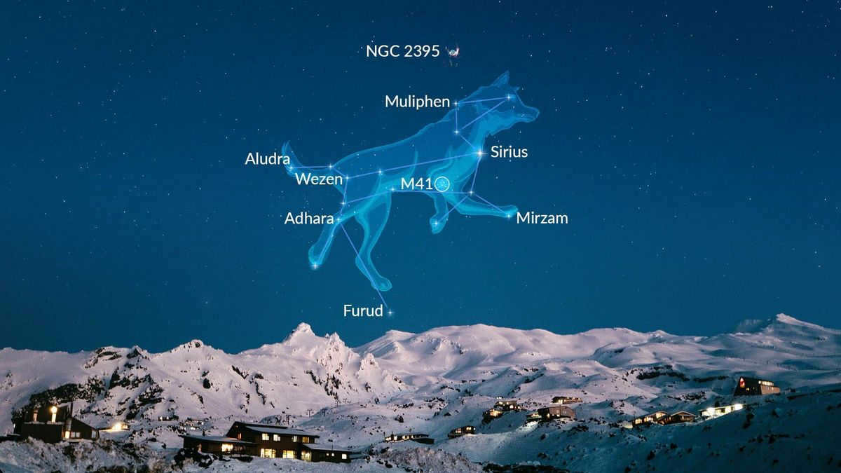  Constellation Canis Major