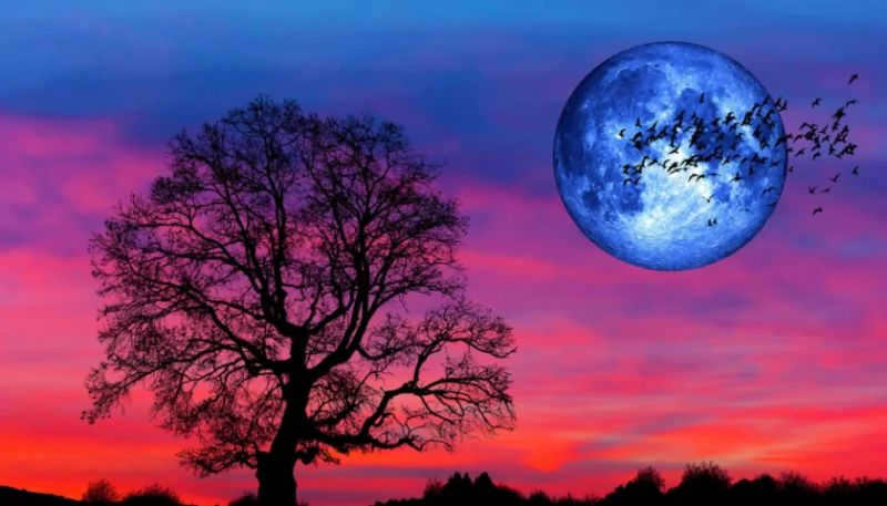 What is a Super Moon / Photo:https://www.earth.com/news/august-will-host-two-supermoons-including-a-rare-blue-moon/ 