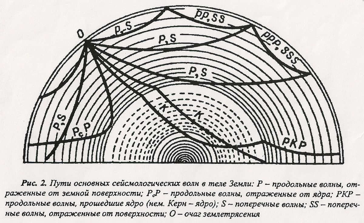 Scheme of seismic wave motion in the Earth's body