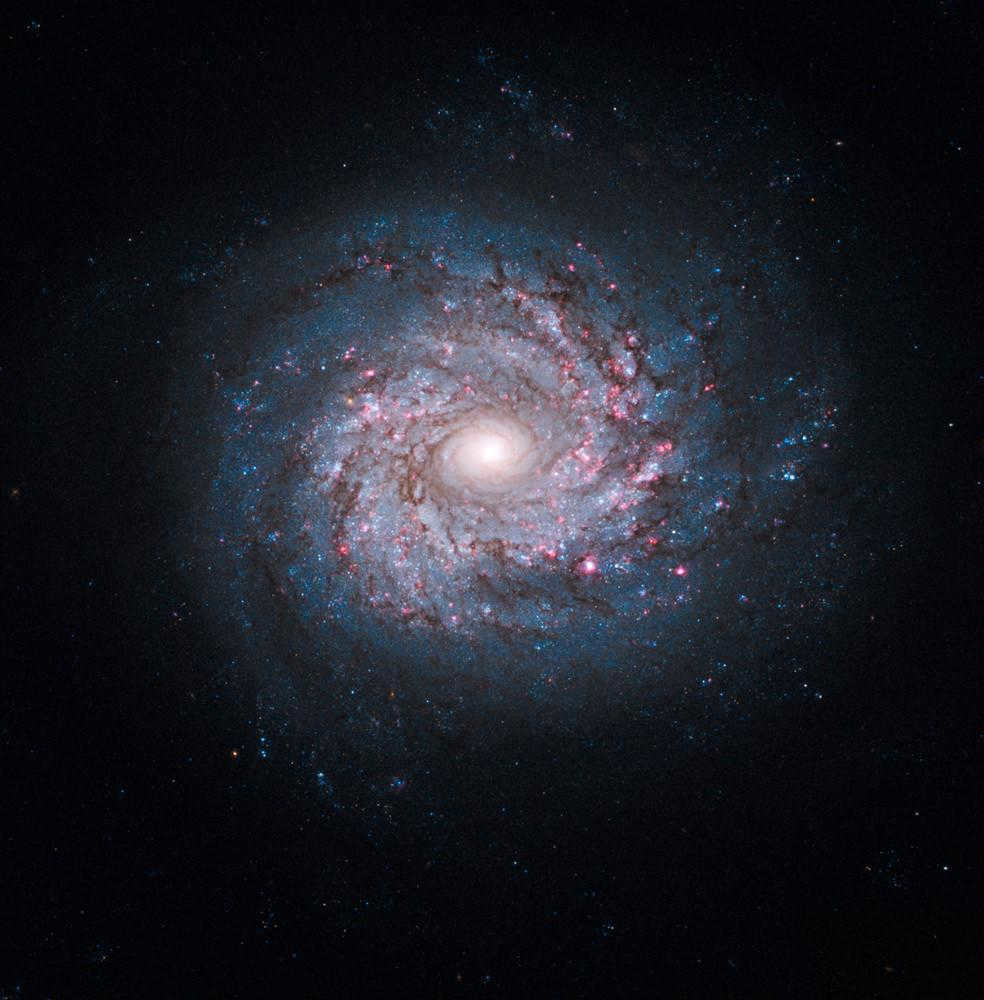 The galaxy on top