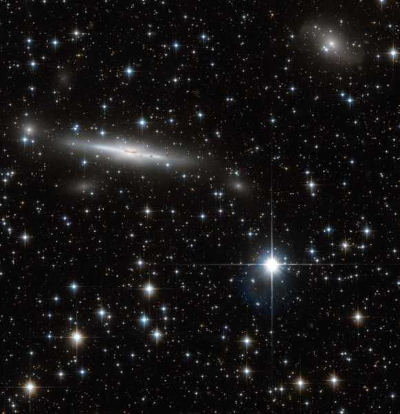 Local group of galaxies