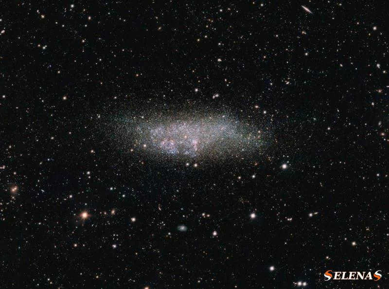 Wolf-Lundmark-Melott is a lone galaxy located at the edge of the Local Group.