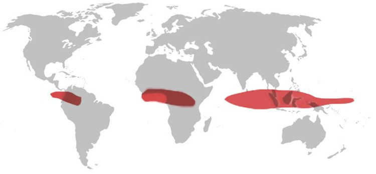 Equatorial climate belt on the world map