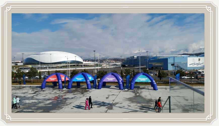 Sirius in Sochi: what is bad and who will suit?