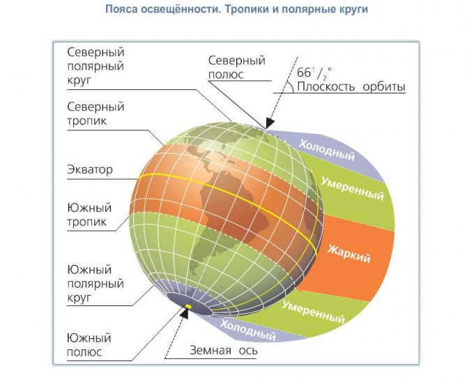 Orbital motion of the Earth