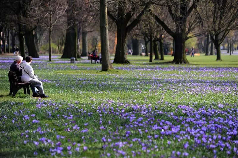 How much time do you need to spend in nature to reduce stress?