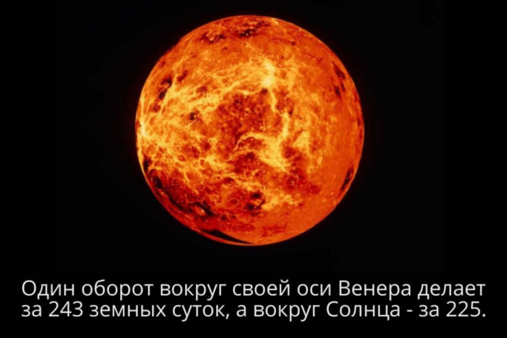 Venus