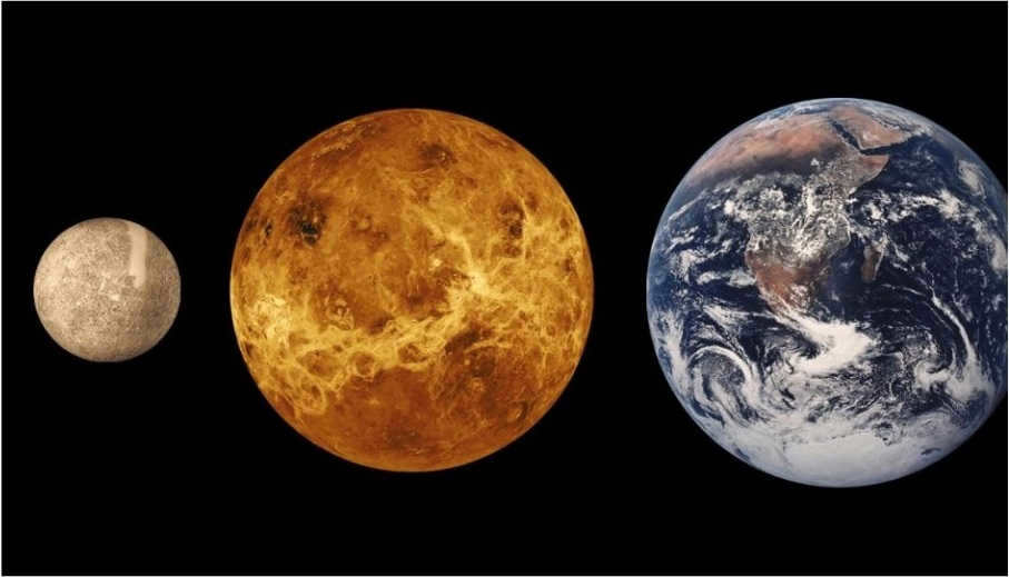 Comparative sizes