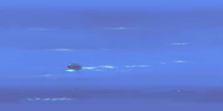 Neptune surface map