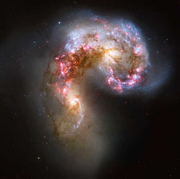 Galaxies NGC 4038 and NGC 4039 are a pair of interacting galaxies that have been dubbed "Antennas". Discovered by William Herschel in 1785. The galaxies are currently experiencing an active phase of star formation, in which the collision of clouds of gas and dust due to gravity causes rapid star formation. The mutual attraction of these galaxies is so strong that they will collide in the future. Scientists predict that the collision will last 400 million years. Scientists predict a similar future for our galaxy, the Milky Way, which will collide with Andromeda.