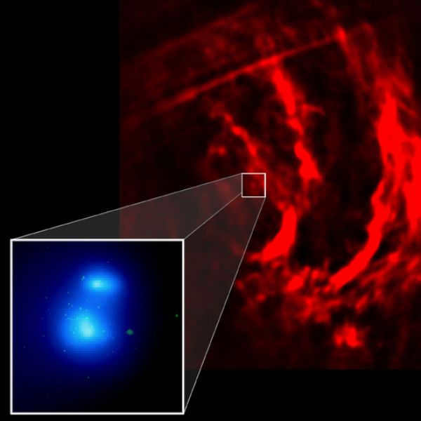 The Arches cluster is one of the densest star clusters in our Galaxy. It is a group of young stars located only 100 light-years away from the supermassive black hole at the center of the Milky Way. After a while, the cluster should collapse under its gravitational pull. 