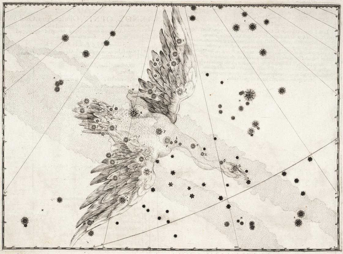 Swan constellation from Johannes Bayer's atlas. 