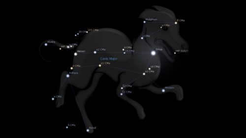 Figure 3. Hound Dogs.