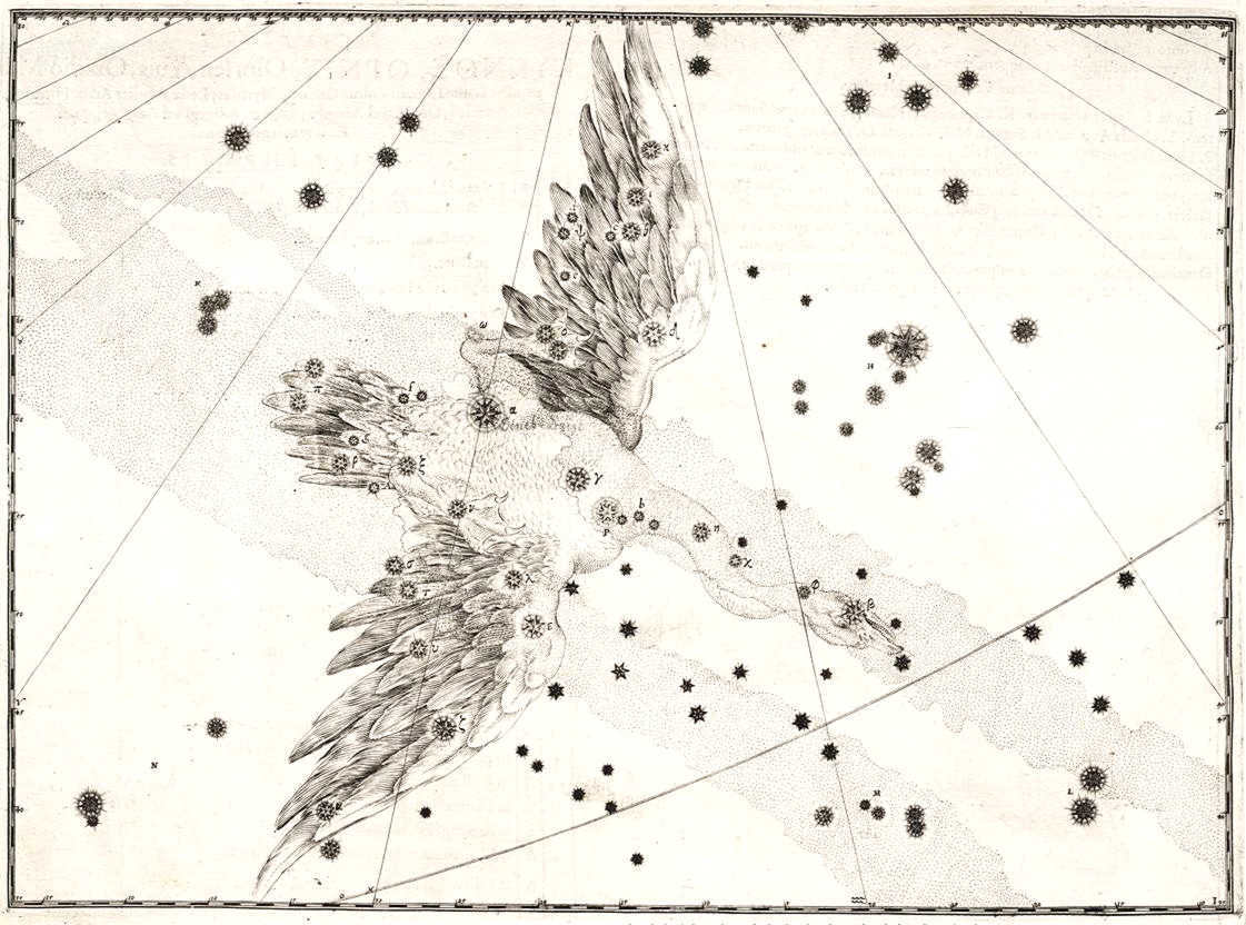 The constellation of the Swan from Johann Bayer's atlas 