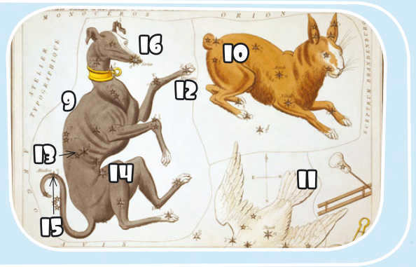 Big Dog stars