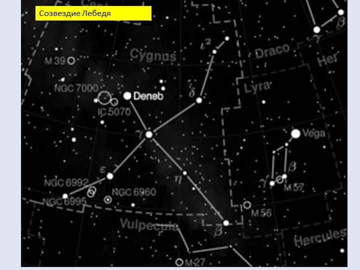 The constellation of the Swan.