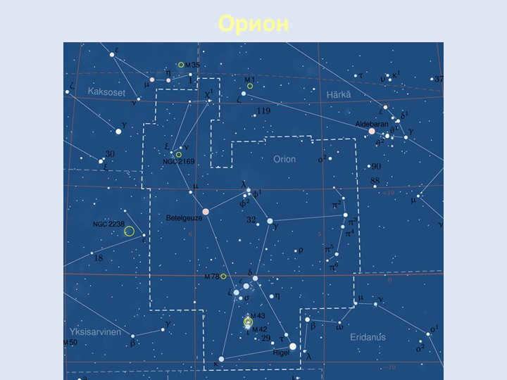 Orion