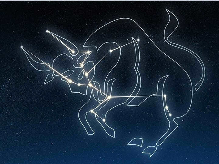 Taurus