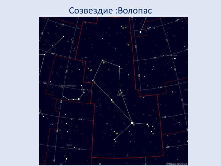 Constellation :Wolopassus