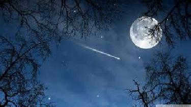 brightest constellations of the northern hemisphere