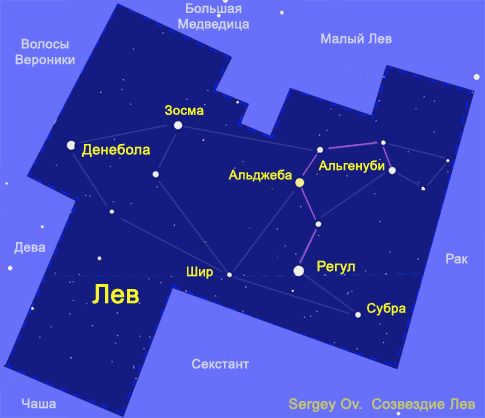 The constellation Leo. Asterism Sickle is a symbol of Leo.