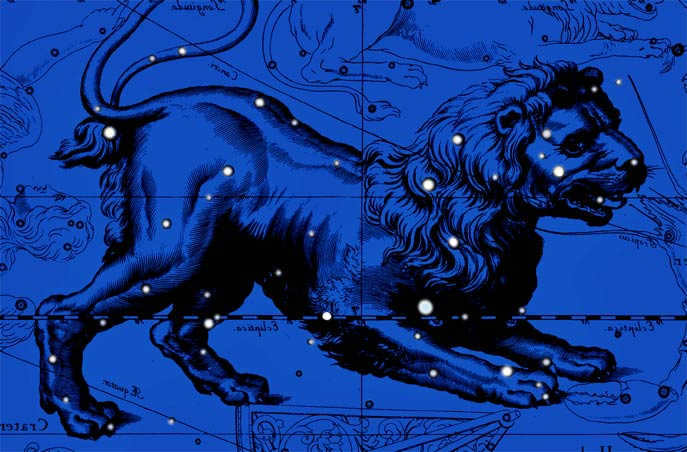 Constellation Leo. Collage from the atlas of Jan Hevelius.