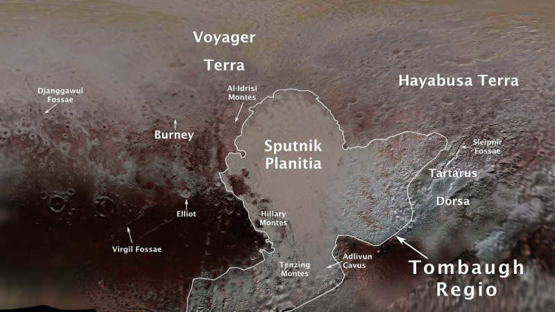 Pluto Companion Plain