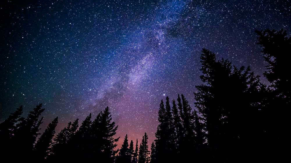 Milky way, galaxy, galaxy, space, stars, planets, night sky, forest, coniferous tree