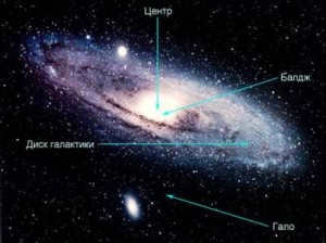 Center, balge and halo