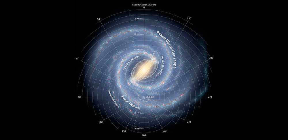 Milky Way, galaxy, stars, Sun orbit, diagram, model, illustration