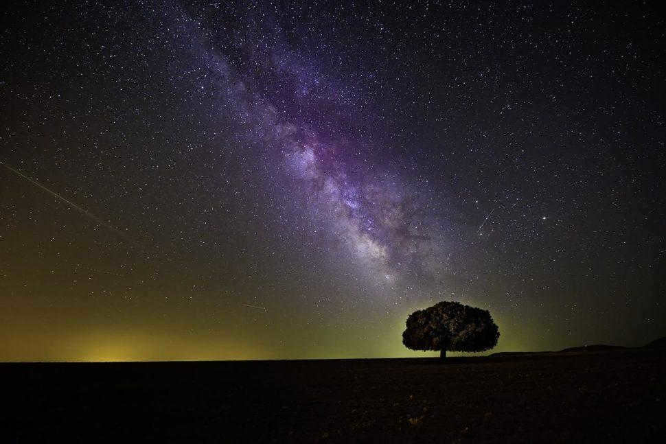 Milky Way, galaxy, night sky, tree, stars, illustration