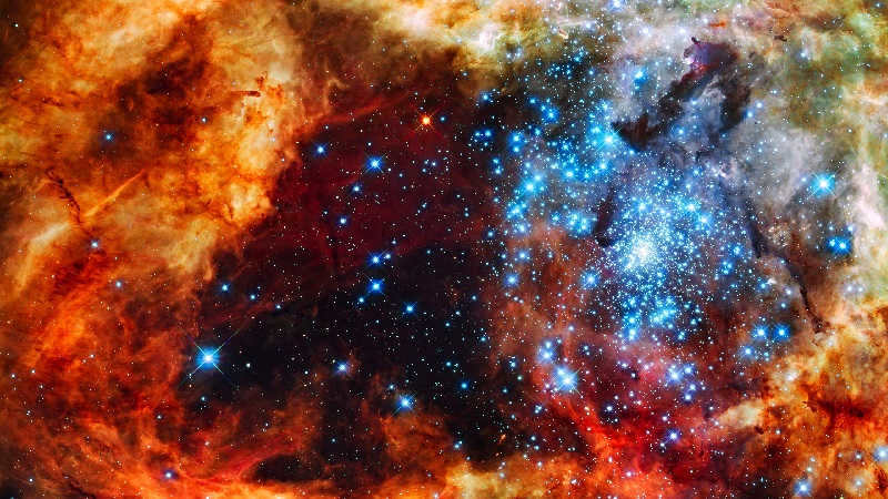 Cosmos