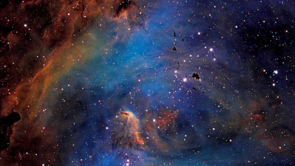 One sector of the Universe