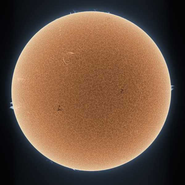 Sun in the H alpha line