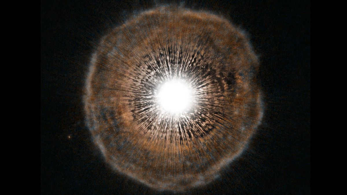 Red giant star U Camelopardalis (U Giraffe)